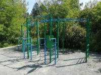 уличный спортивный комплекс с турником и брусьями "илья муромец" уск-016 apolonsport