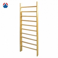 стенка гимнастическая епб-2400 olimpciti мк-0957