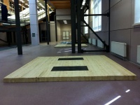 помост тяжёлоатлетический atlet (тренировочный) 2,5х2,5х0,1 м imp-a420