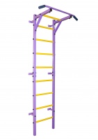 шведская стенка "тренер" apolonsport