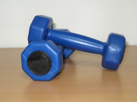 гантели v-sport 1х2кг (пара) ст560.1