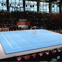 помост для вольных упражнений spieth gymnastics moscow пружинный, соревновательный 1790750